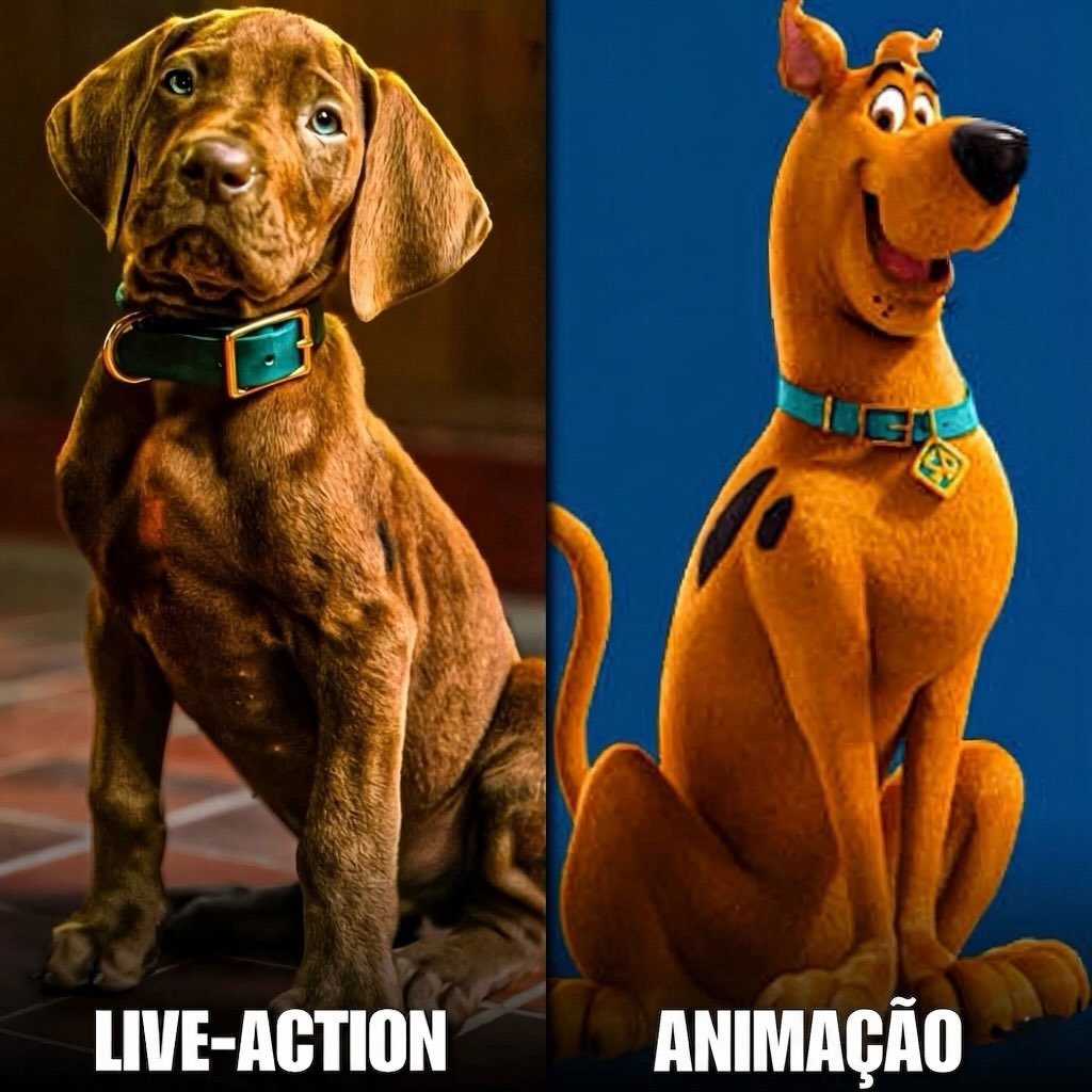 Photo by Universo 42 on June 14, 2026. May be an image of text that says 'LIVE LIVE-ACTION ANIMAÇÃO'.