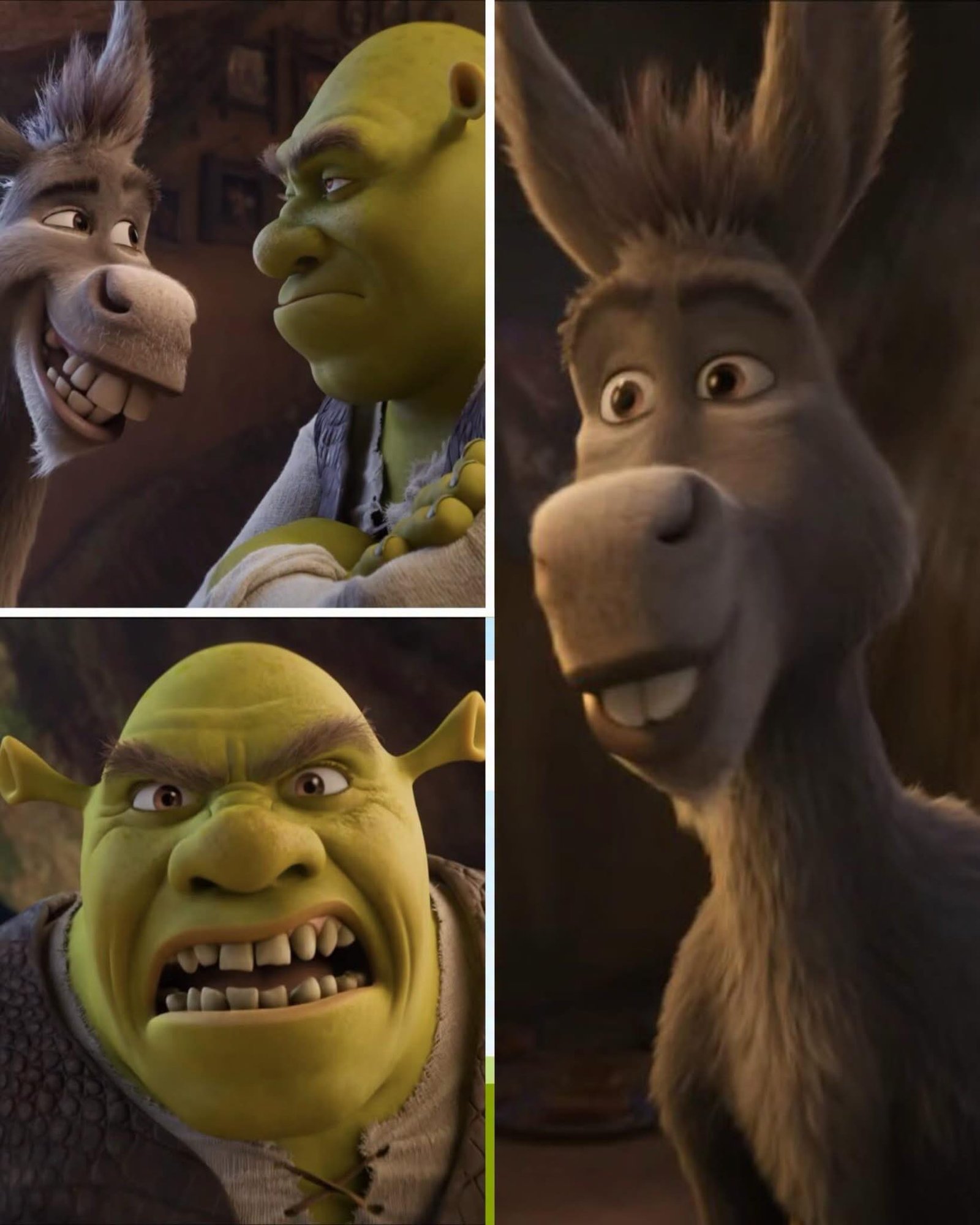 Photo by Universo 42 on June 18, 2026. May be a cartoon of donkey and text.