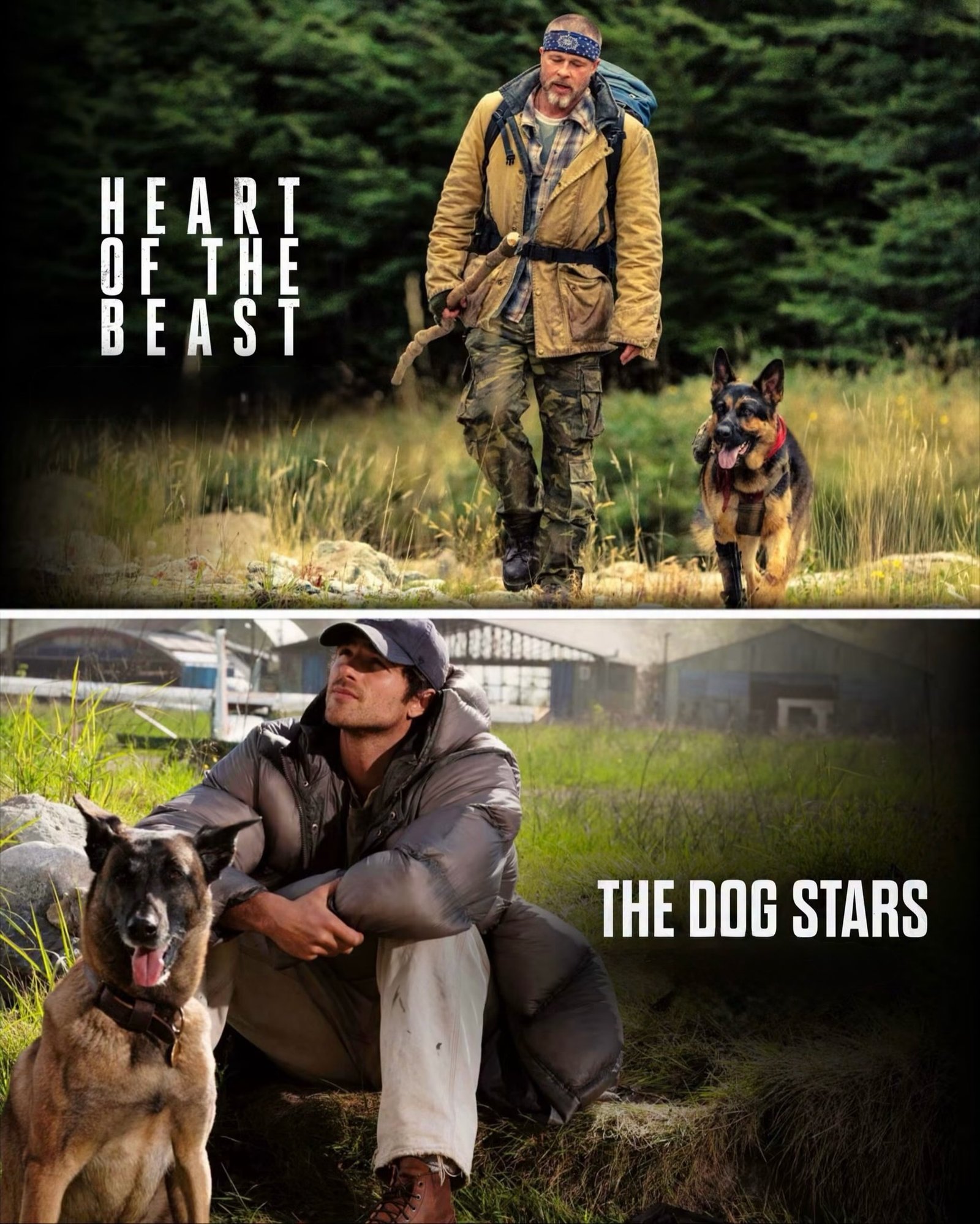 Photo by Universo 42 on August 22, 2026. May be an image of dog, poster and text.