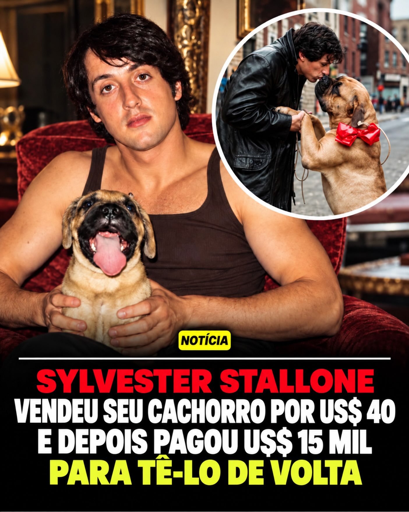 ?❤️ Sylvester Stallone chegou a vender seu próprio cachorro para conseguir sobreviver antes do sucesso de Rocky!

Antes de se tornar uma estrela de Hollywood, Stallone enfrentava sérias dificuldades financeiras. Sem dinheiro sequer para alimentar seu cachorro Butkus, acabou vendendo o animal por ap