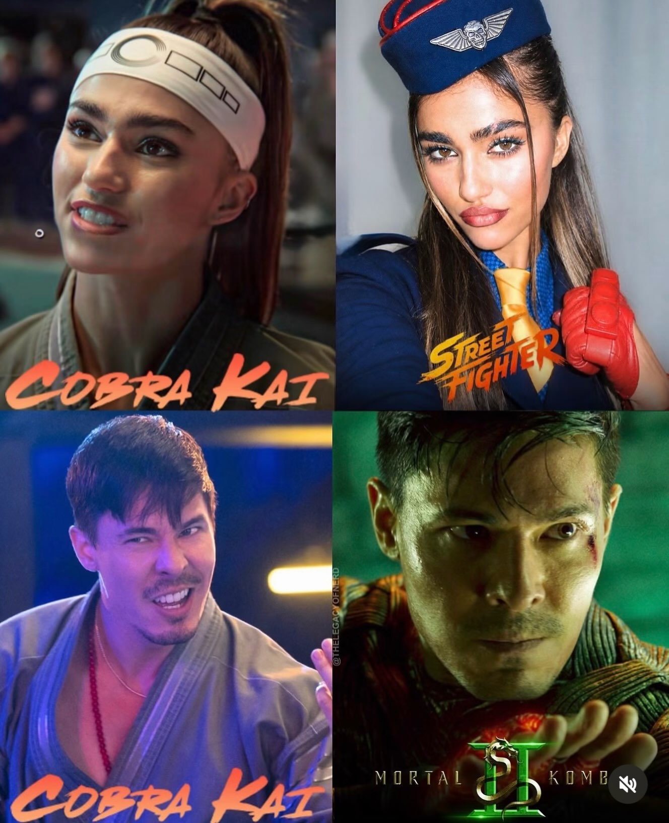 ?? De Cobra Kai para Mortal Kombat e Street Fighter!

Dois atores que participaram de Cobra Kai agora estão em lados opostos de uma das maiores rivalidades dos videogames!

Lewis Tan, que interpretou o sensei Wolf na série, também dá vida a Cole Young nos filmes de Mortal Kombat.

Já Rayna Valland